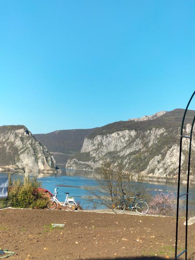 Casa De Vacanta Maga Dubova Exterior foto